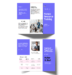 Brochure (tri-fold)